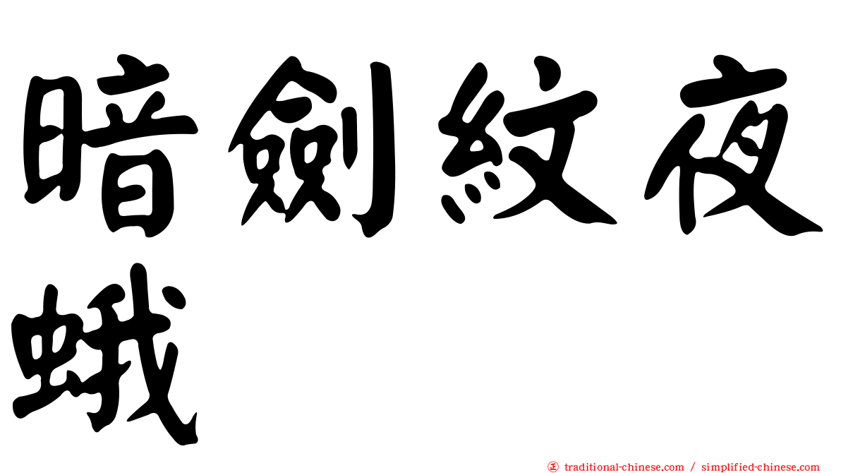 暗劍紋夜蛾