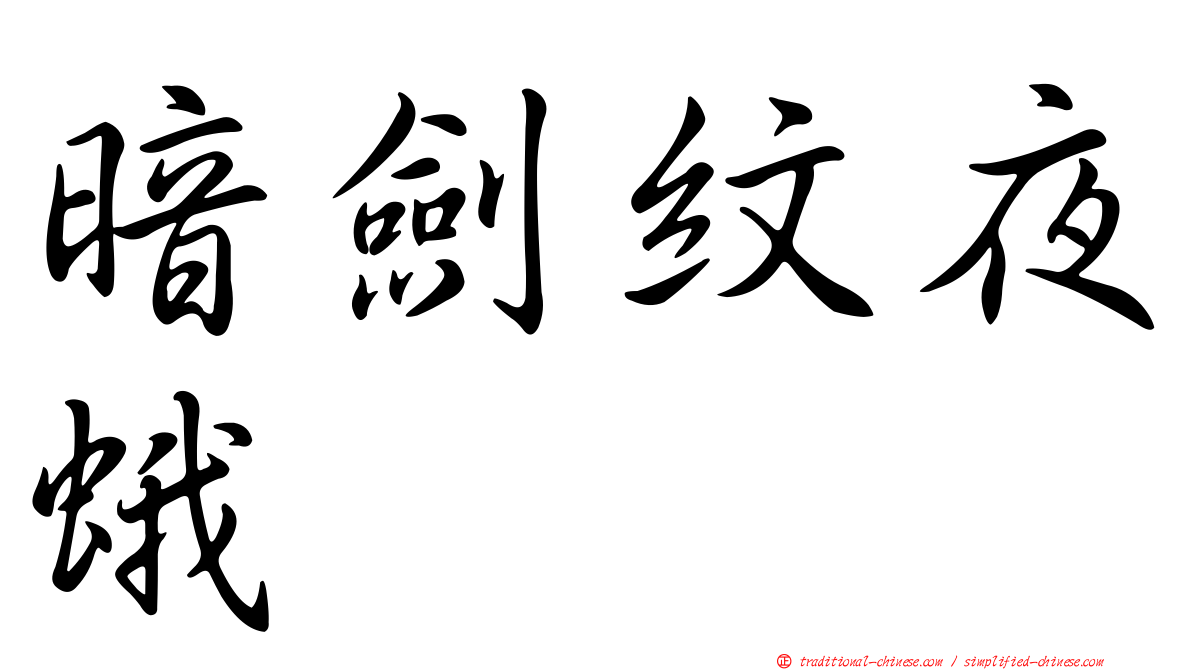 暗劍紋夜蛾
