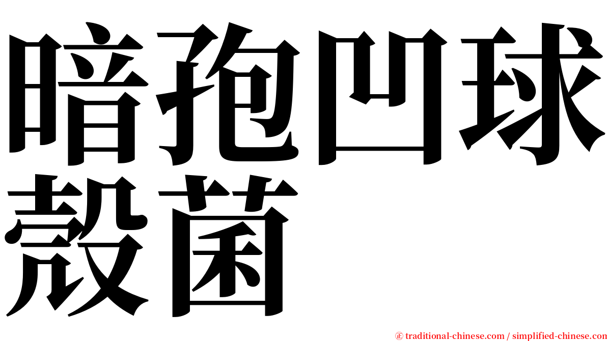 暗孢凹球殼菌 serif font