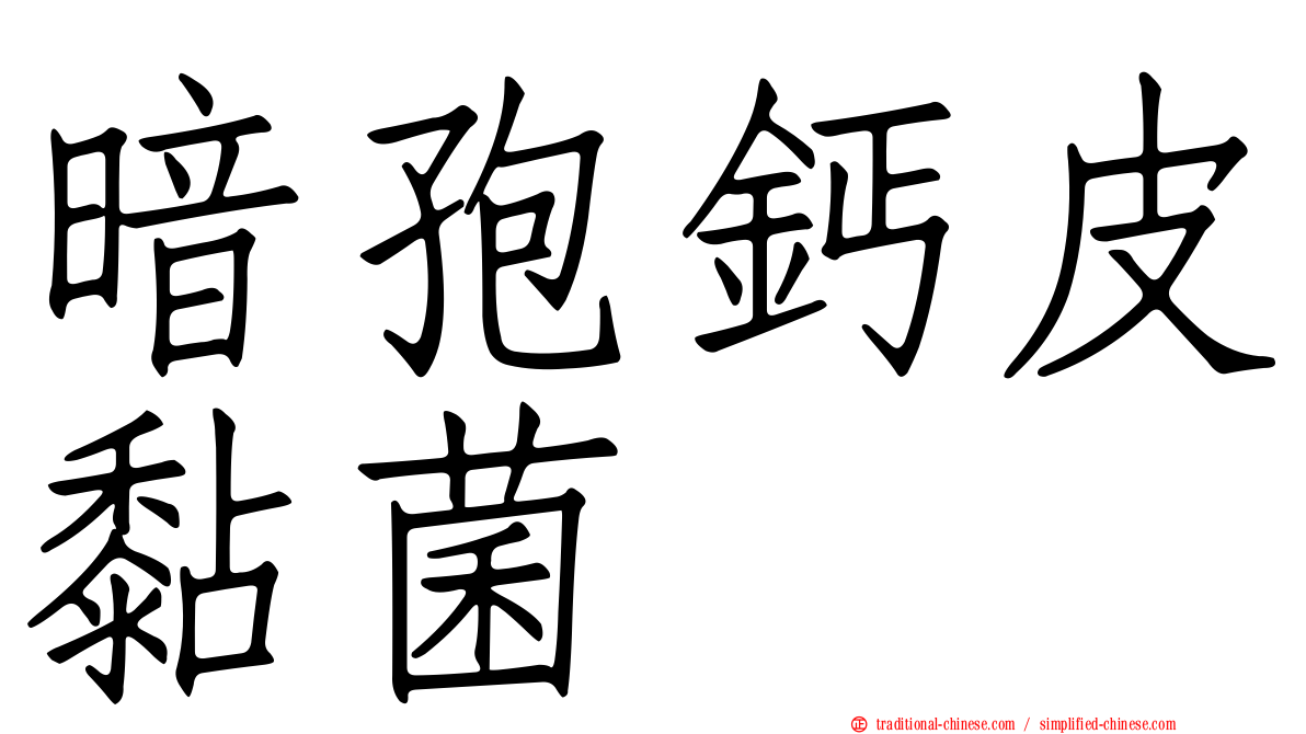 暗孢鈣皮黏菌