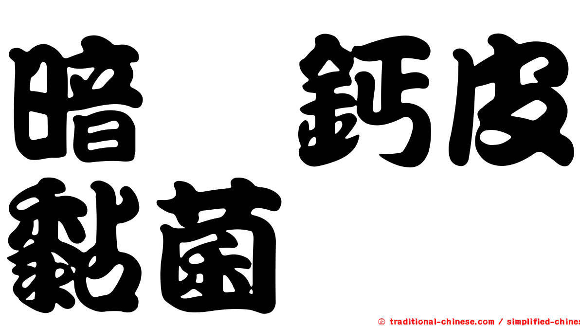 暗孢鈣皮黏菌