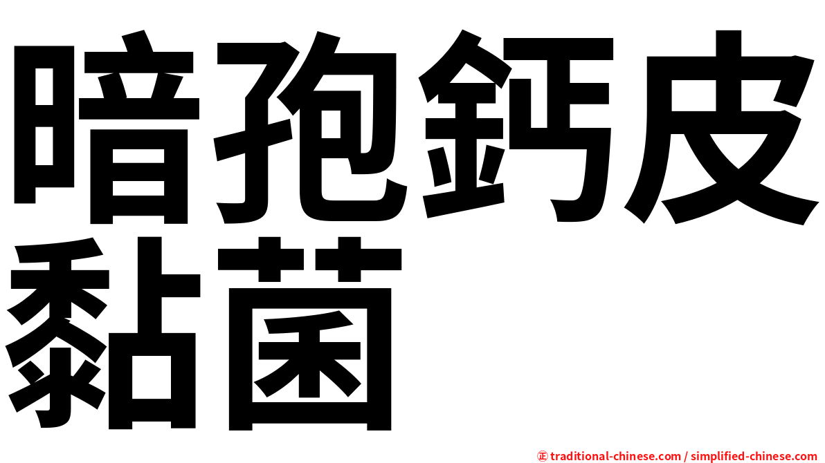 暗孢鈣皮黏菌