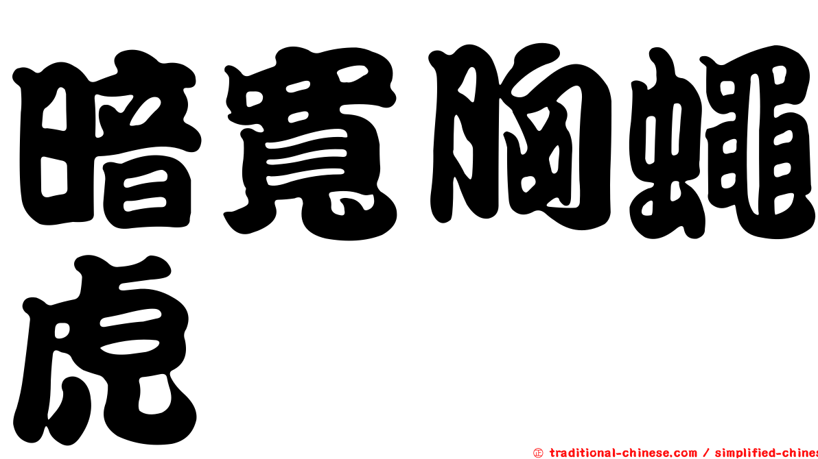暗寬胸蠅虎