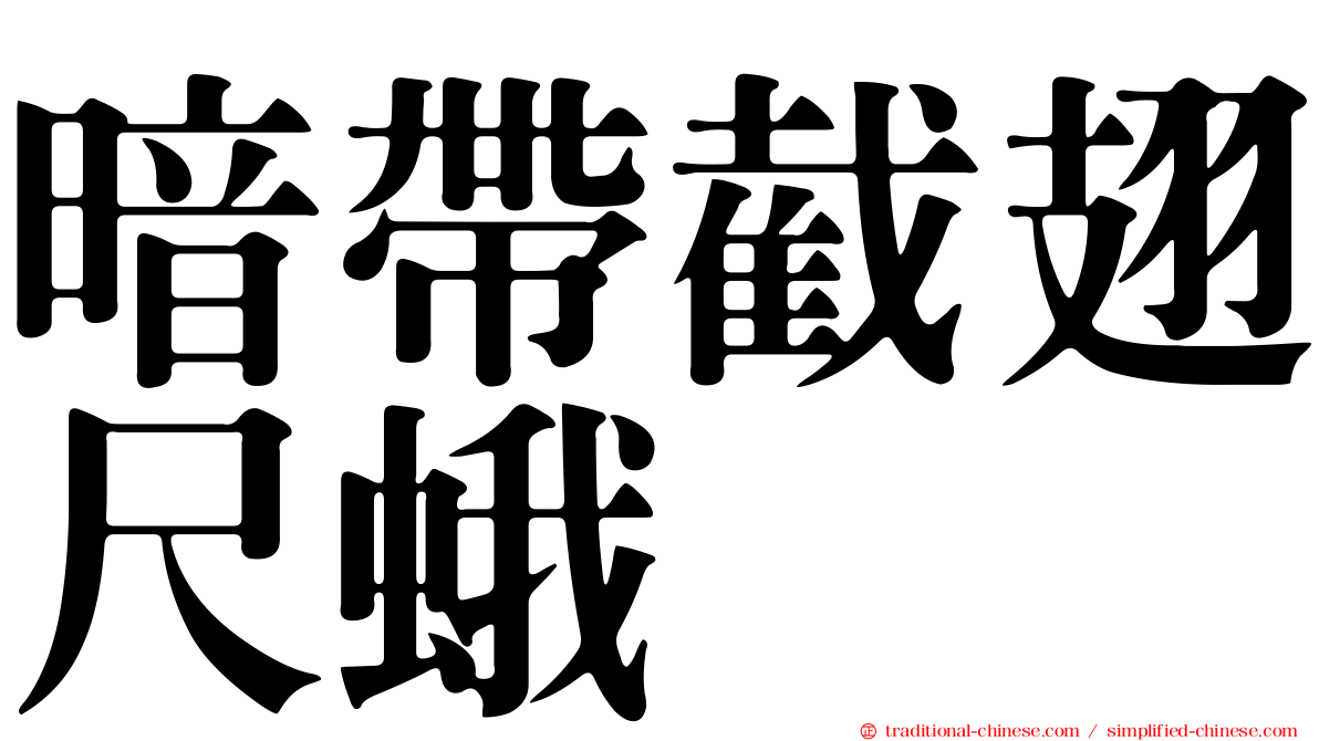 暗帶截翅尺蛾