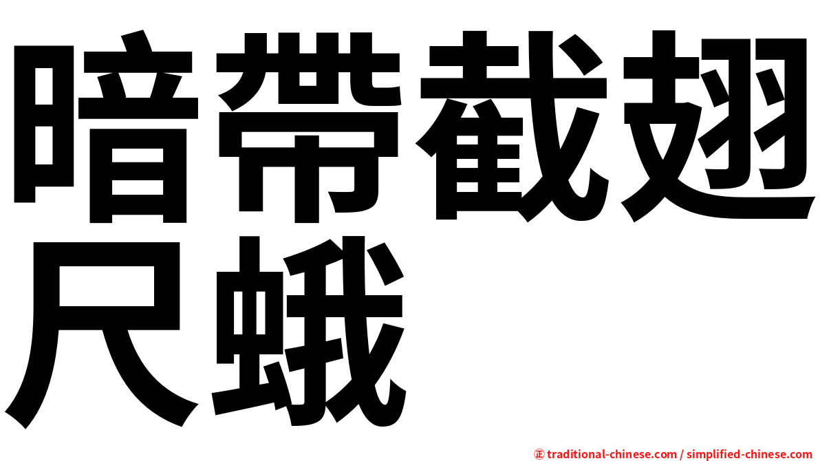 暗帶截翅尺蛾
