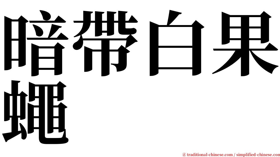 暗帶白果蠅 serif font