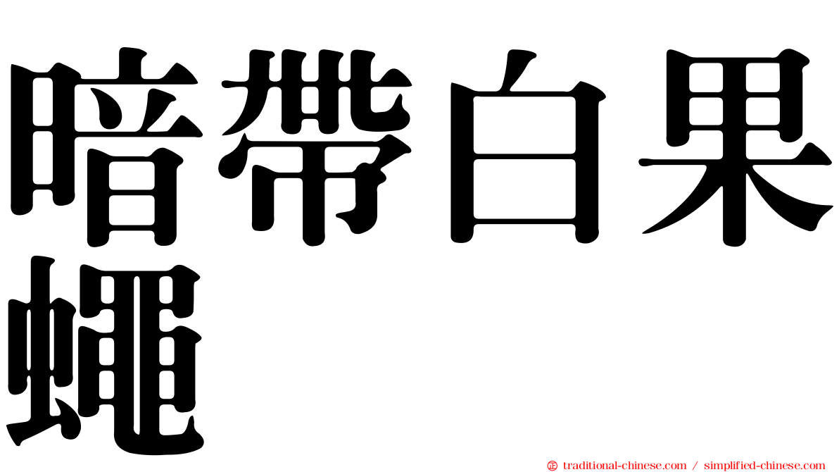 暗帶白果蠅