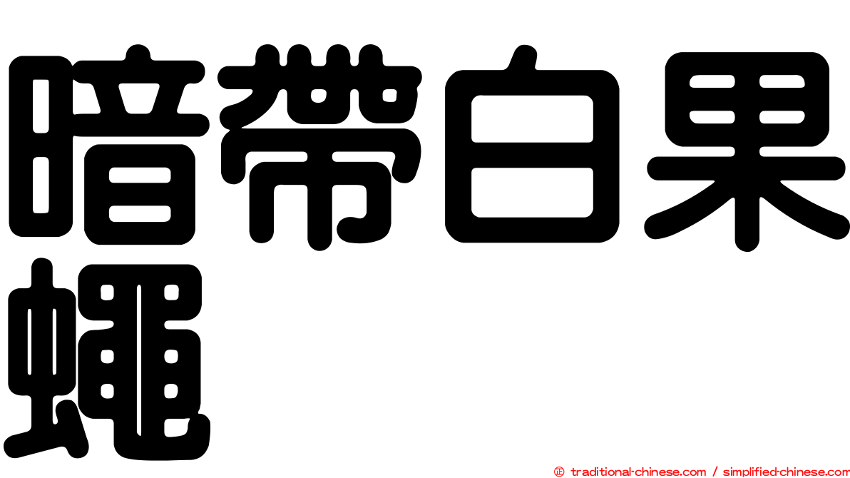 暗帶白果蠅