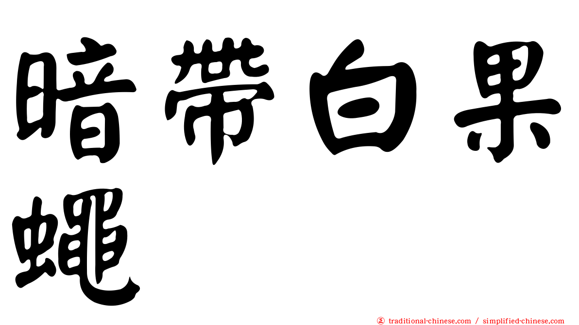暗帶白果蠅