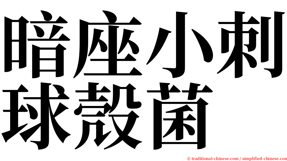 暗座小刺球殼菌 serif font