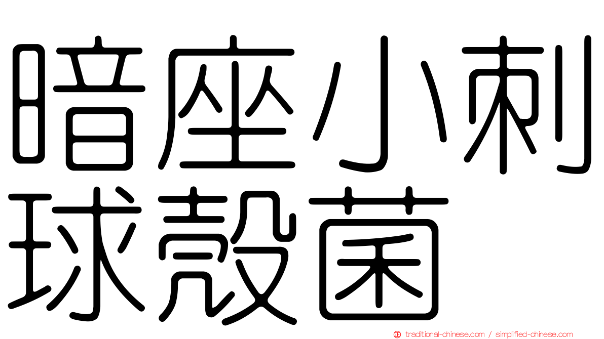 暗座小刺球殼菌