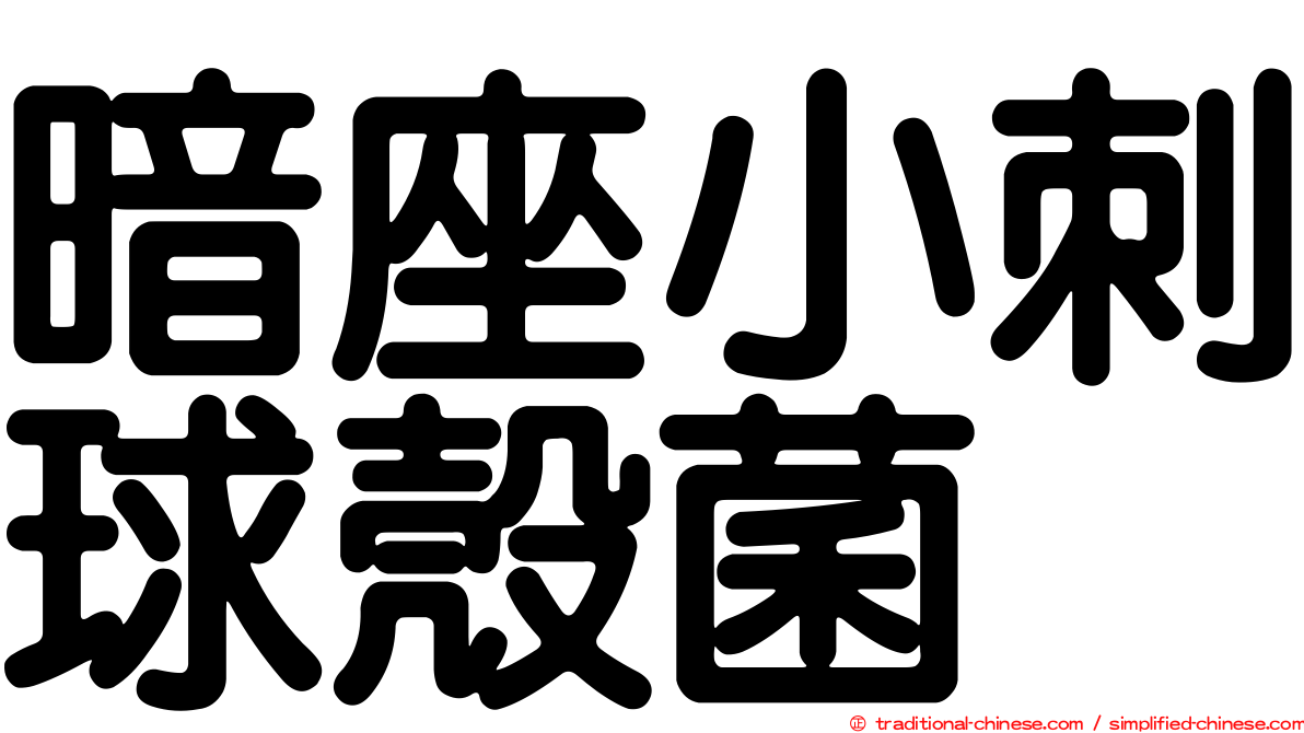 暗座小刺球殼菌