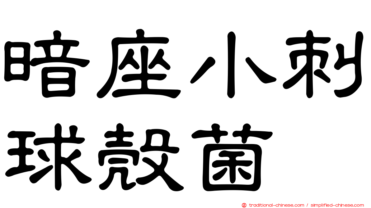 暗座小刺球殼菌