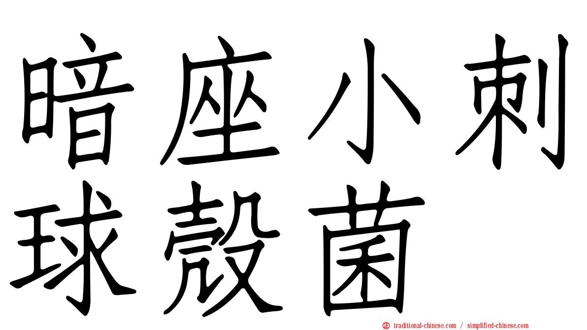 暗座小刺球殼菌