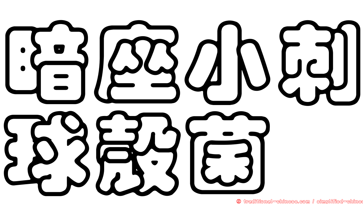 暗座小刺球殼菌