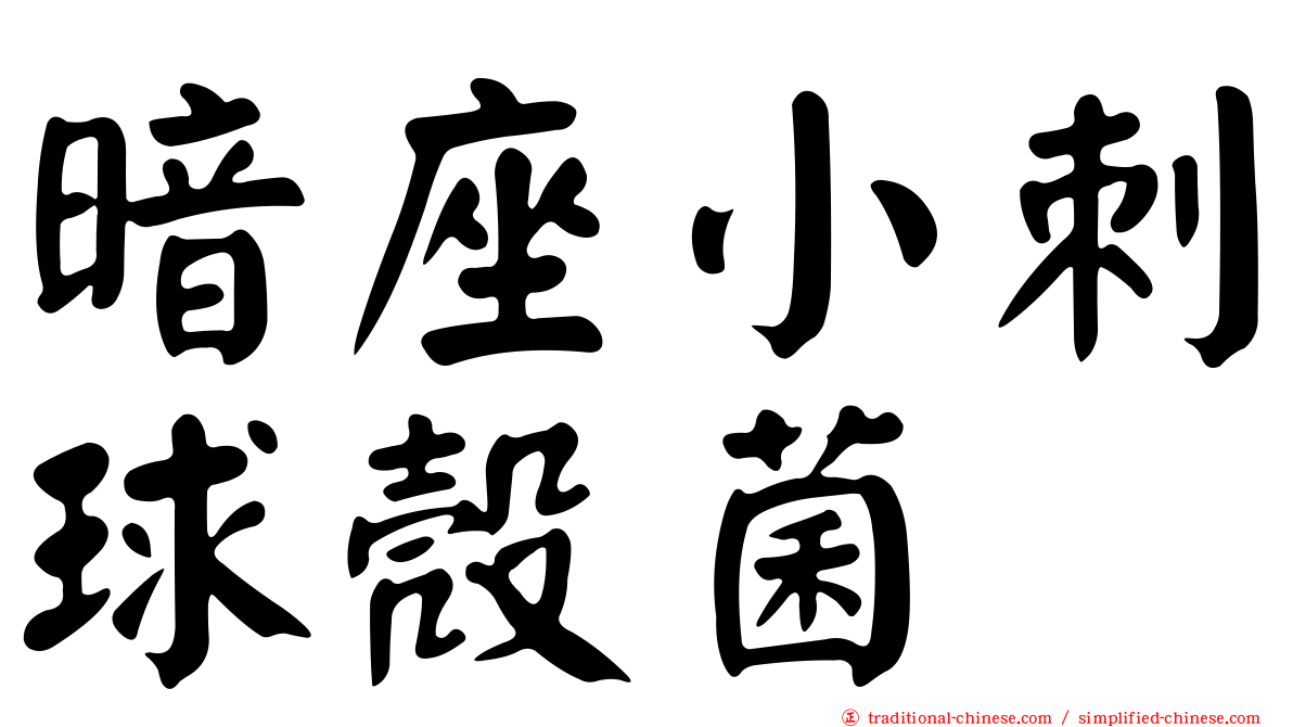 暗座小刺球殼菌