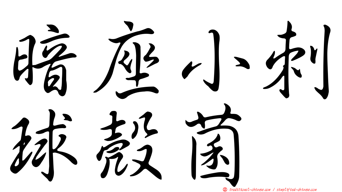 暗座小刺球殼菌