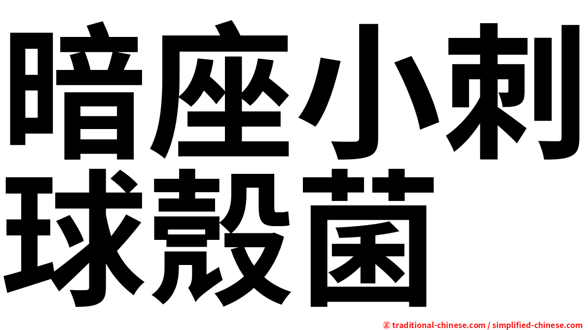 暗座小刺球殼菌