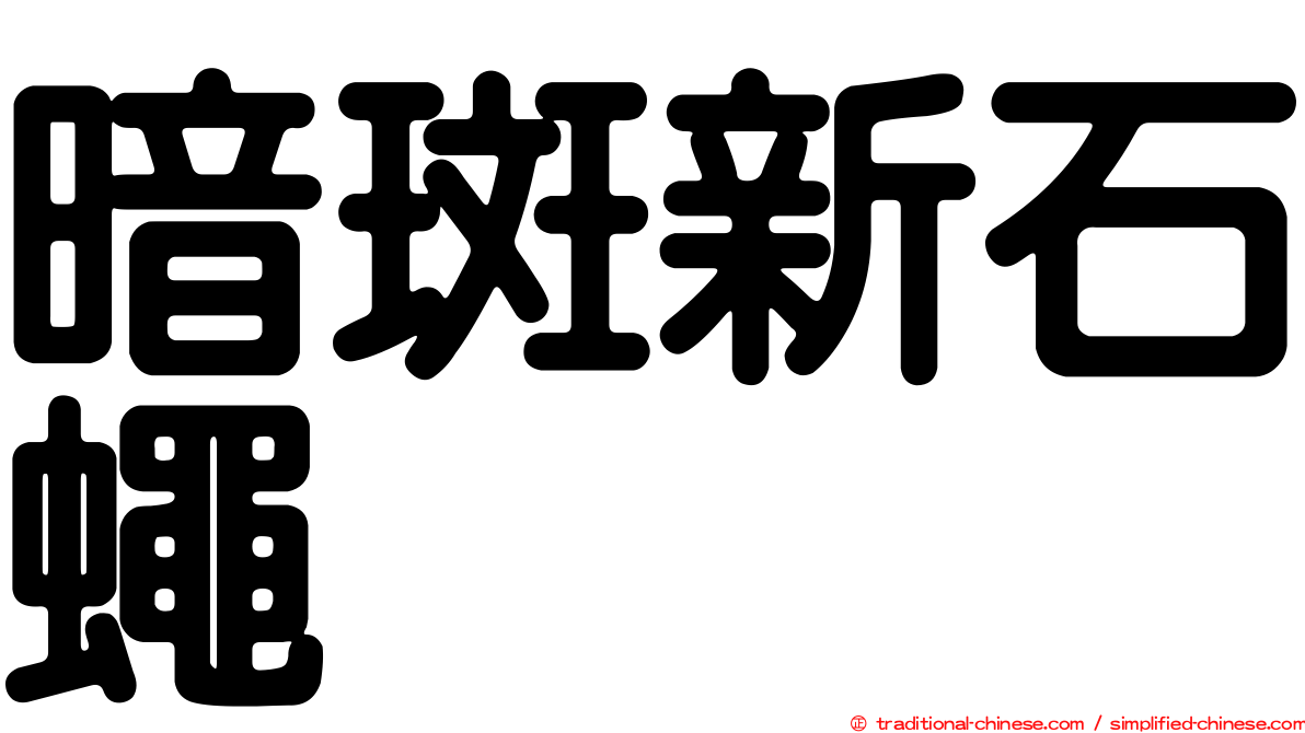 暗斑新石蠅