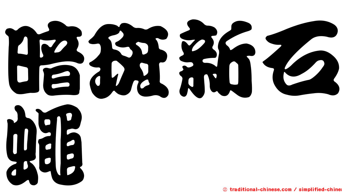 暗斑新石蠅