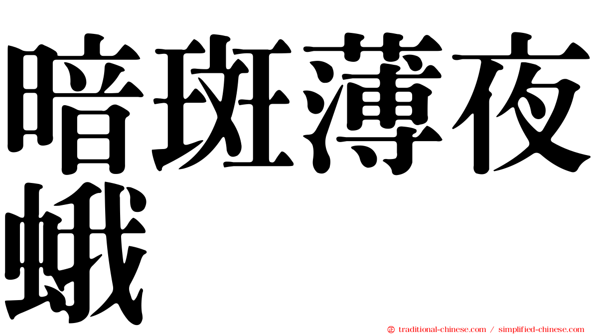 暗斑薄夜蛾