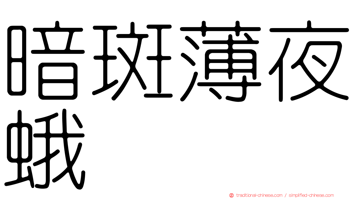 暗斑薄夜蛾