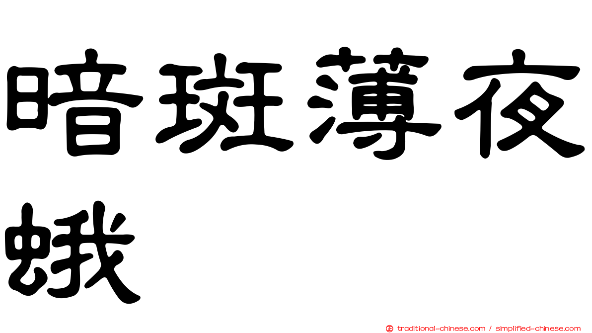 暗斑薄夜蛾