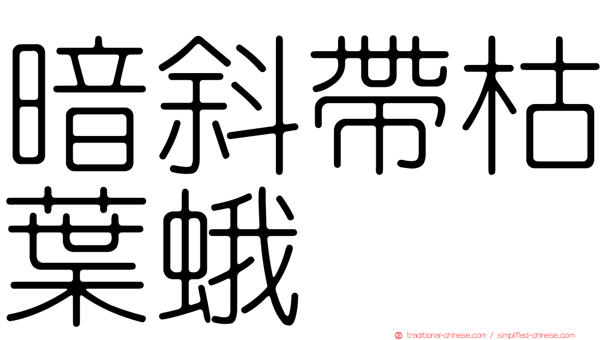 暗斜帶枯葉蛾