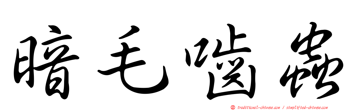 暗毛嚙蟲