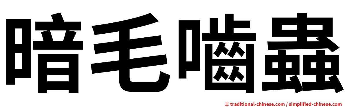 暗毛嚙蟲