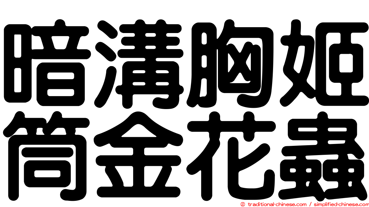 暗溝胸姬筒金花蟲