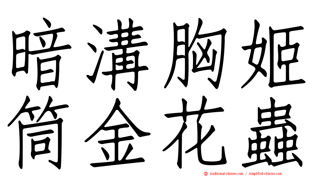 暗溝胸姬筒金花蟲