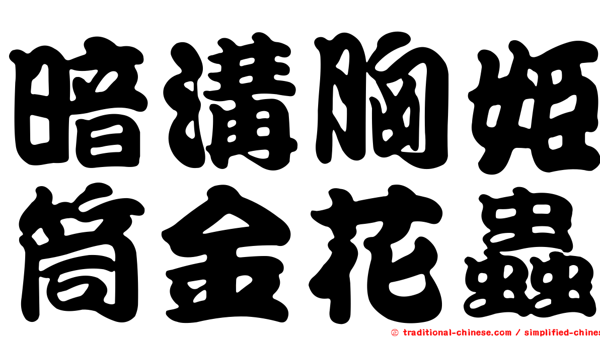 暗溝胸姬筒金花蟲