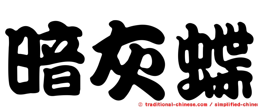 暗灰蝶