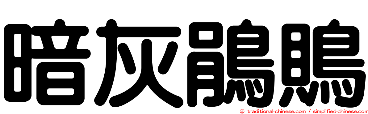暗灰鵑鵙