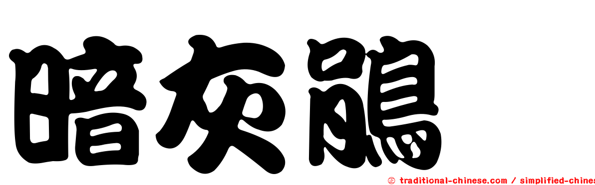 暗灰鵑鵙