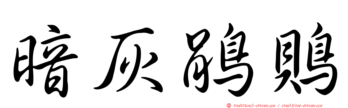 暗灰鵑鵙