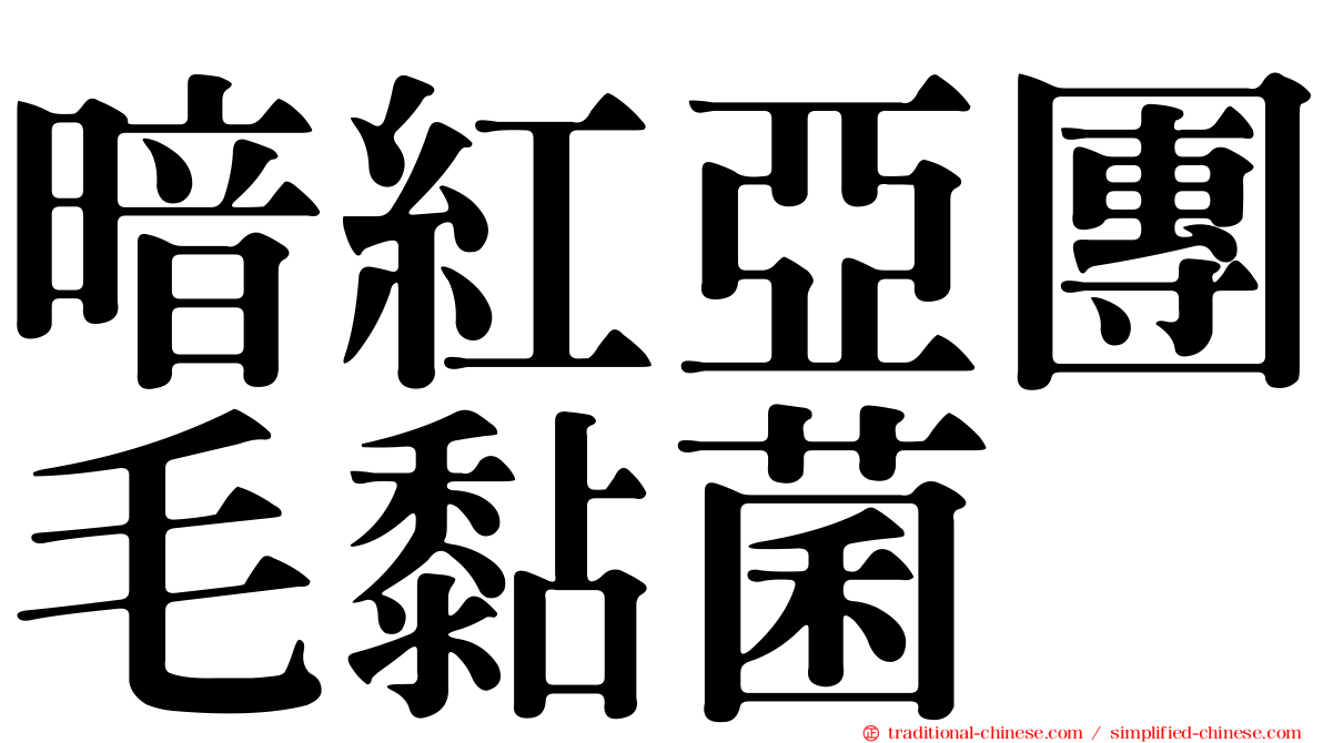 暗紅亞團毛黏菌