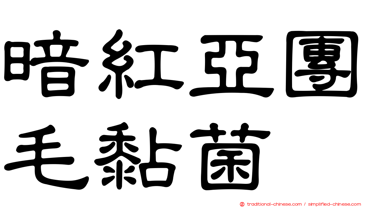 暗紅亞團毛黏菌