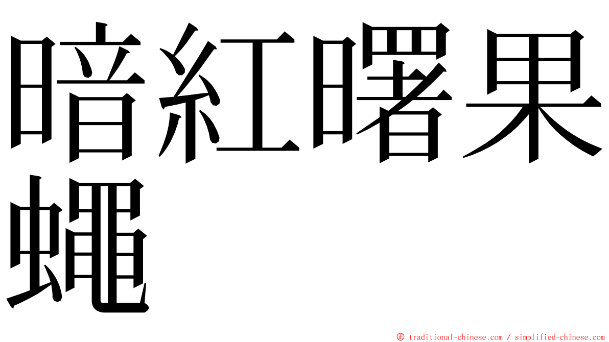 暗紅曙果蠅 ming font