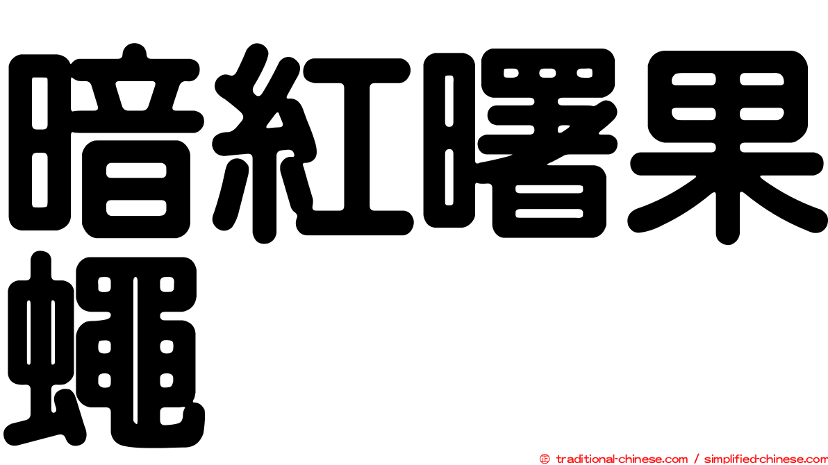 暗紅曙果蠅