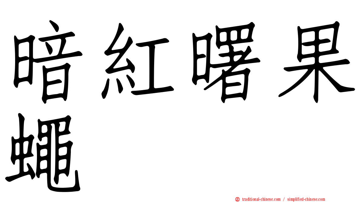 暗紅曙果蠅