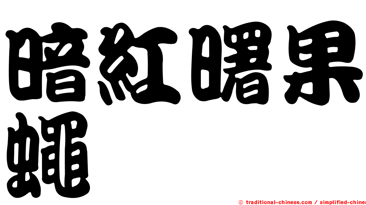 暗紅曙果蠅
