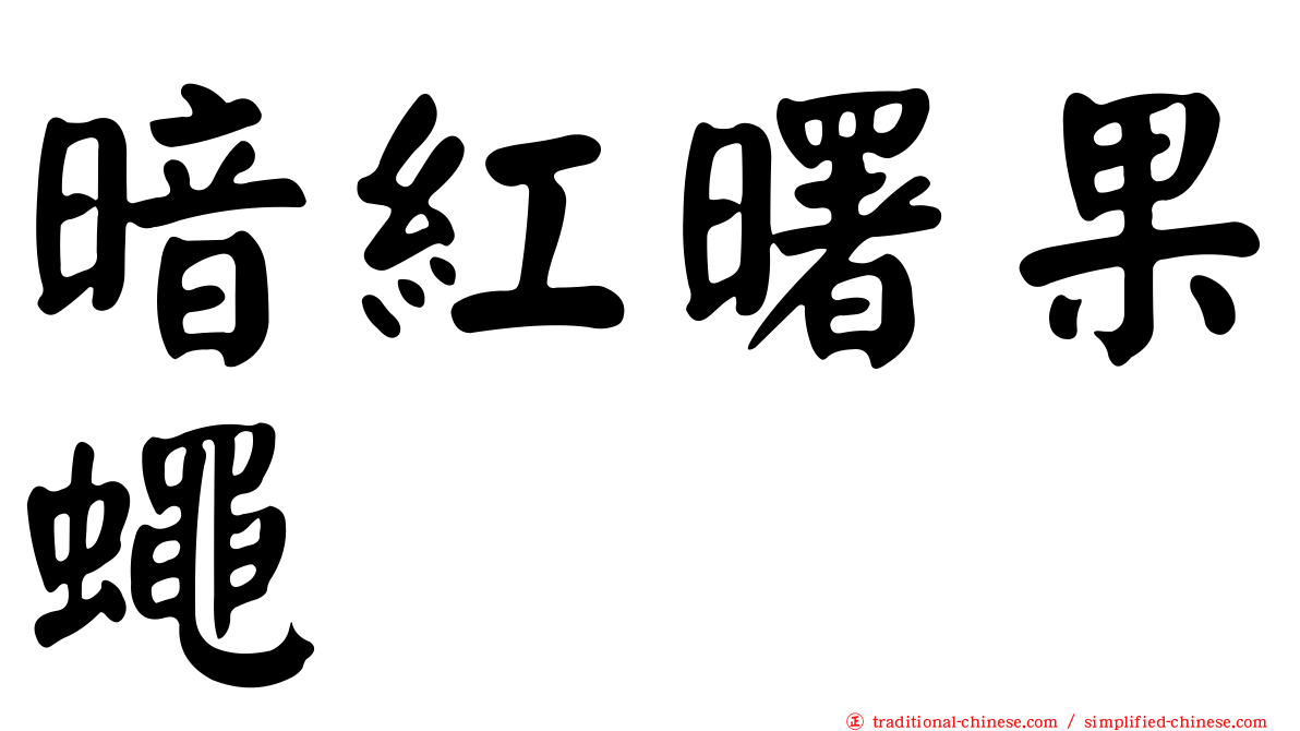暗紅曙果蠅