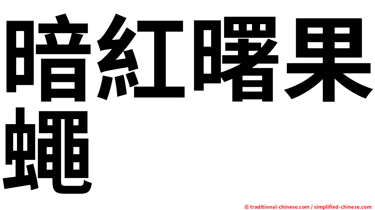 暗紅曙果蠅