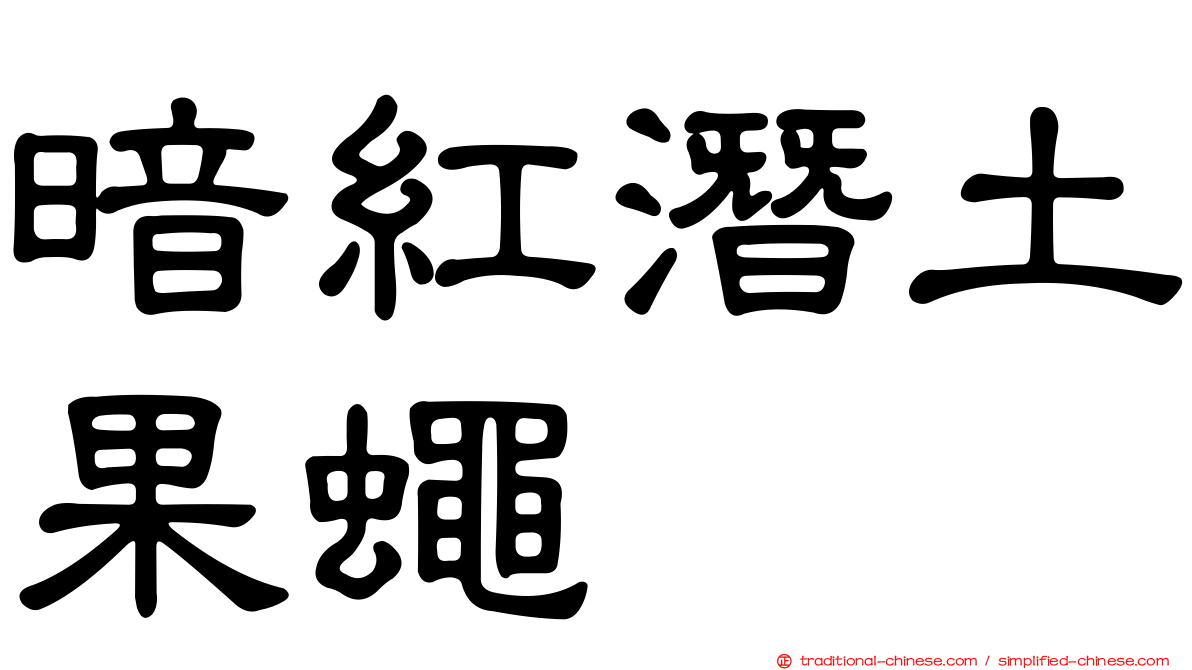暗紅潛土果蠅