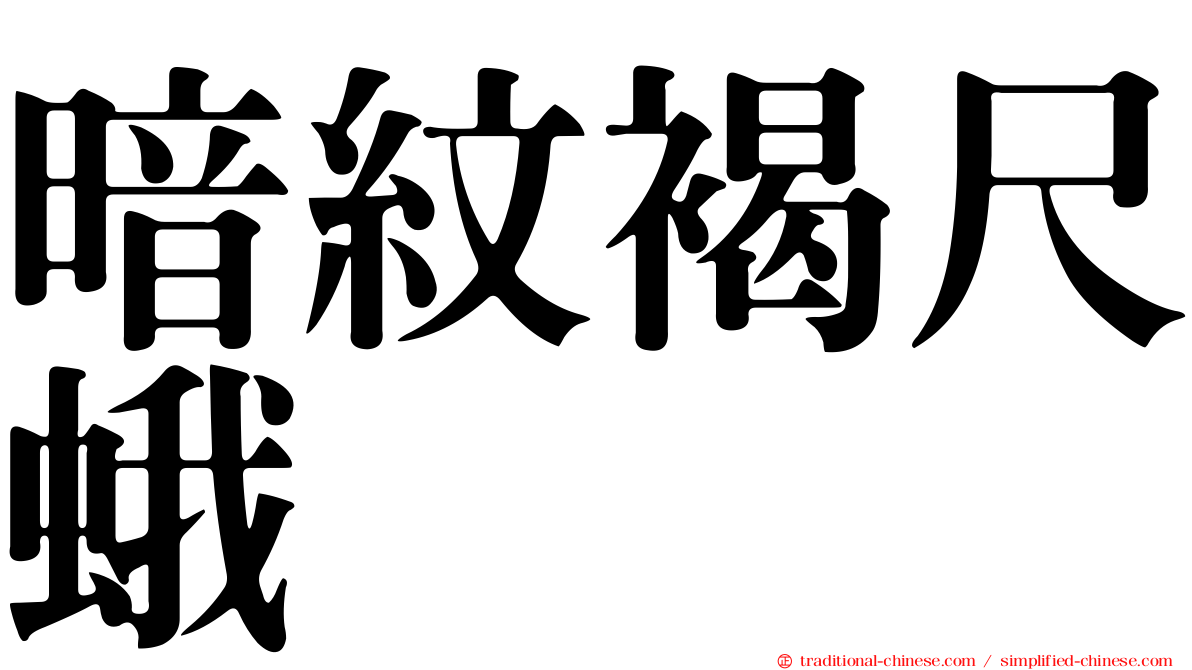 暗紋褐尺蛾