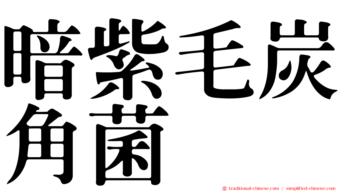 暗紫毛炭角菌