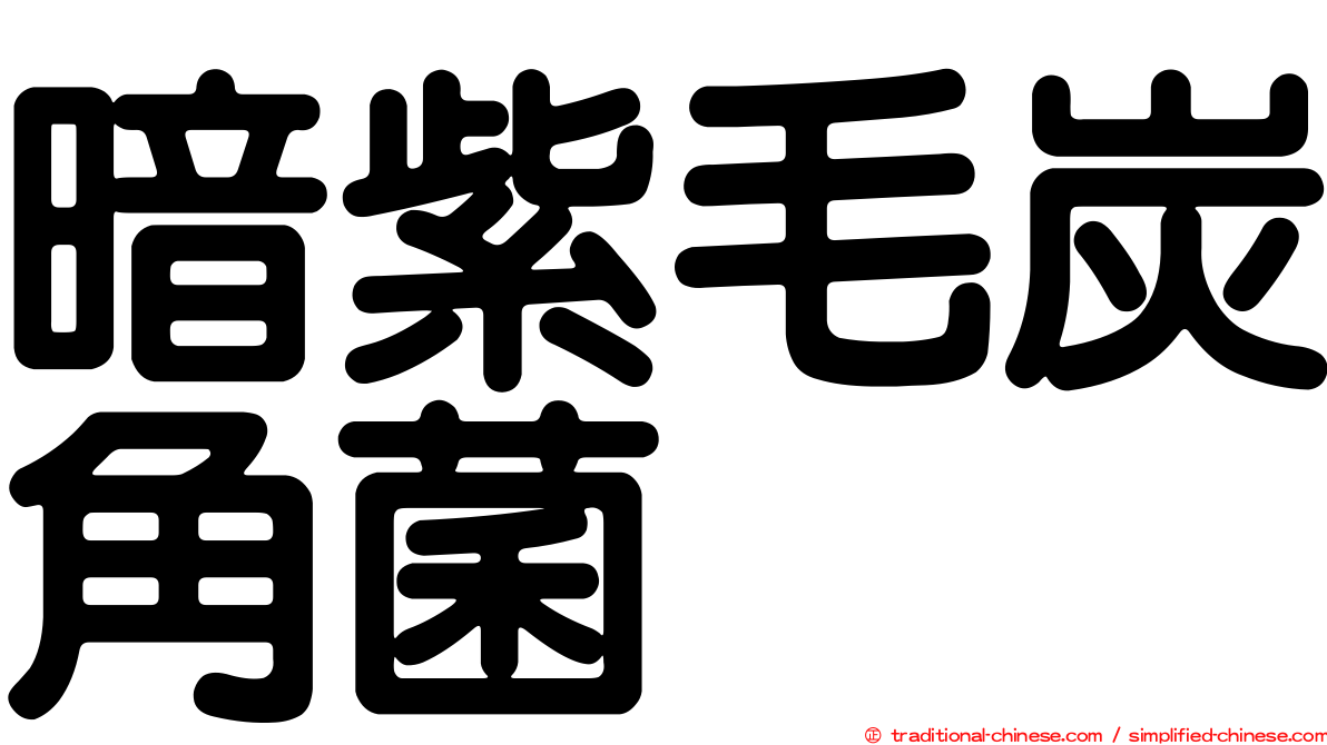 暗紫毛炭角菌