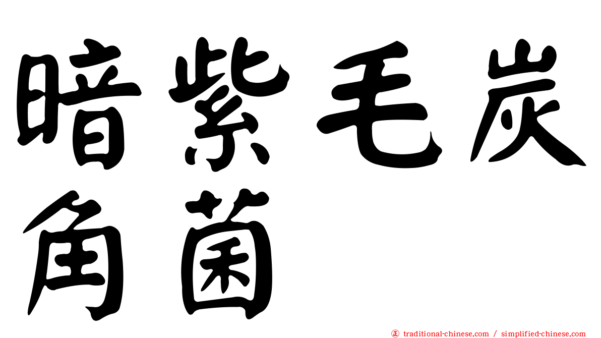 暗紫毛炭角菌
